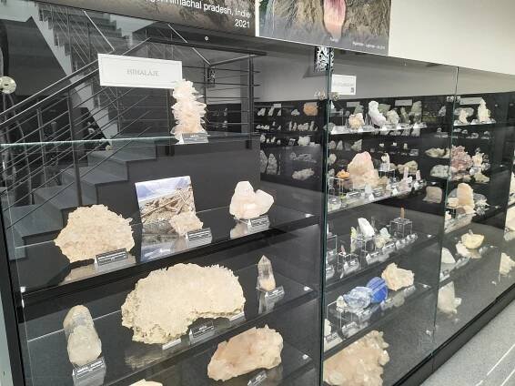 Lepší než Národní muzeum. Návštěvníci obdivují brazilské ametysty i zub mamuta