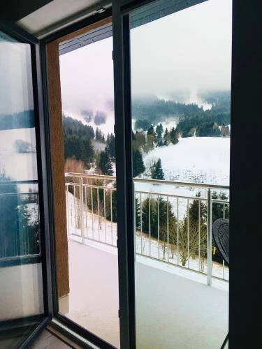 Příroda nedaleko apartmánu