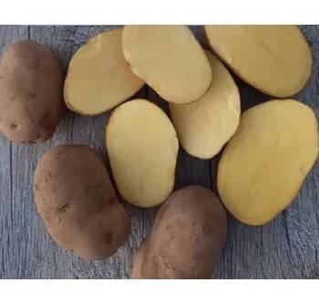 Brambory Agria - typ C, 10 kg