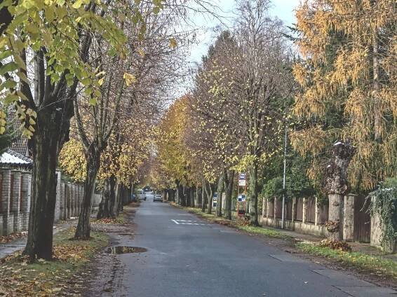 Sníh Klánovice | stránky Tomáše Hradeckého 