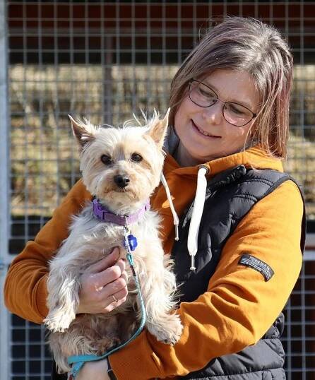 Psi k adopci z útulků, azylů a neziskových organizací
