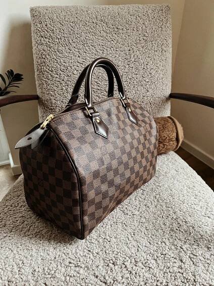 LOUIS VUITTON Speedy 30 Damier Ebene