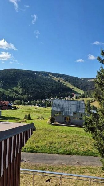 Penzion Pod lesem foto 2