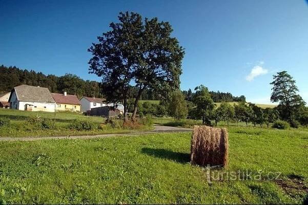 Horní Dvorce: osada u Sušice
