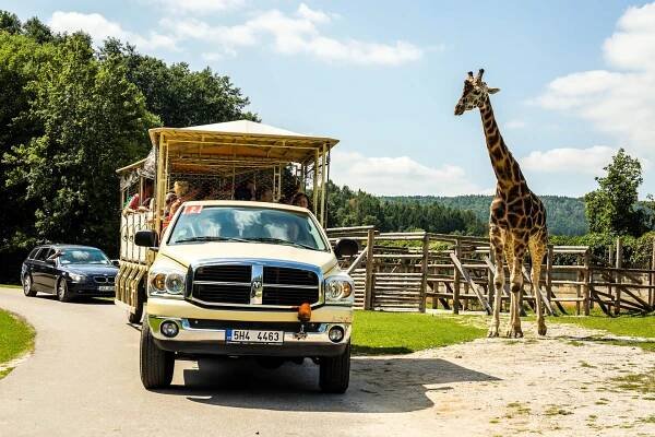 Safari Park Dvůr Králové › Dovčasdětmi.cz