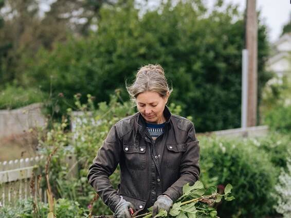 What to plant in November (and other garden tasks for the month)
