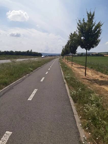 Rozhledny Slovácka na kole: Krásná, ale zavřená Hraběcí, na Travičnou přes salaš