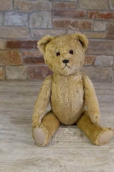 The Store at Cooperstown Bears — Cooperstown Bears