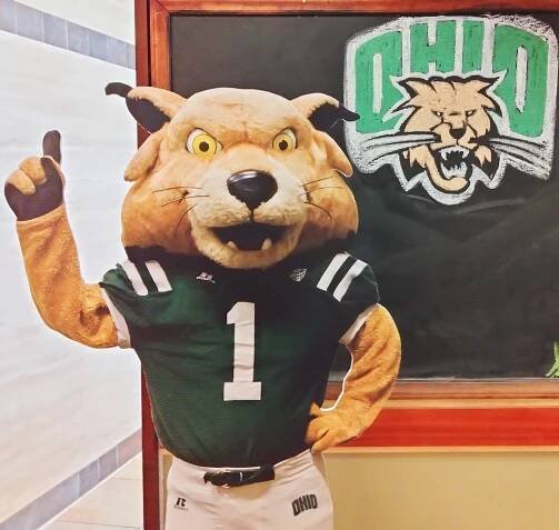 Rufus the Bobcat