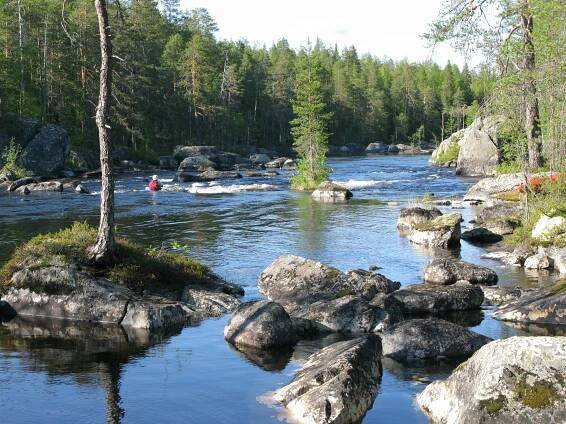 Kostomuksha Nature Reserve