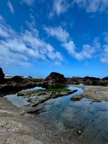 tide pools on Tumblr