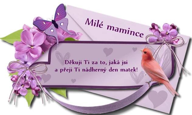 prani_k_svatku_matek_2