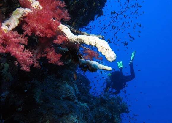 St. Johns Gota Kebir (West)