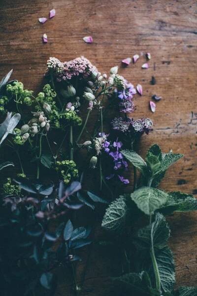 WILD BEAUTY - CELEBRATING BRITISH FLOWER WEEK - Lobster and Swan