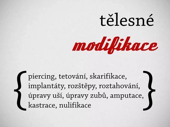 Máša Dudziaková: Jazyk pod kůží | PDF