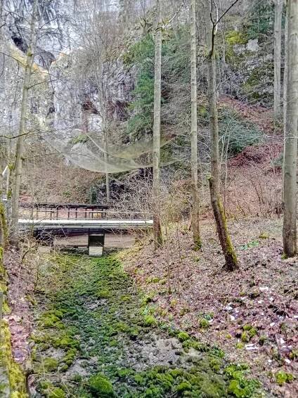Fotografie - Hlavní vývěr Punkvy bez vody - 26.12.2023