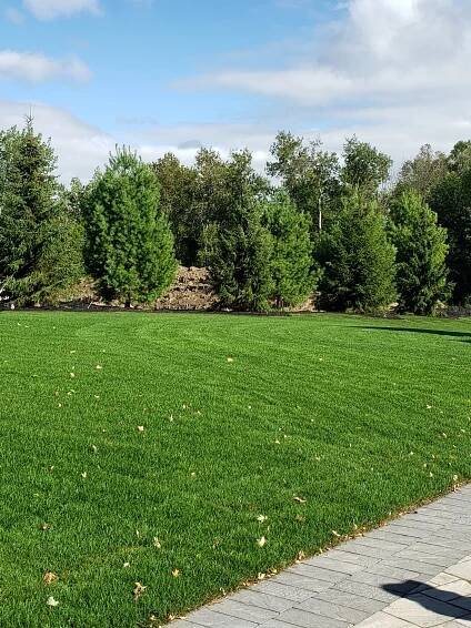 Gallery - Hall Tree Spading