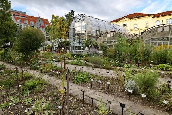 Botanická zahrada – Základní škola a mateřská škola logopedická, Brno, Veslařská 234