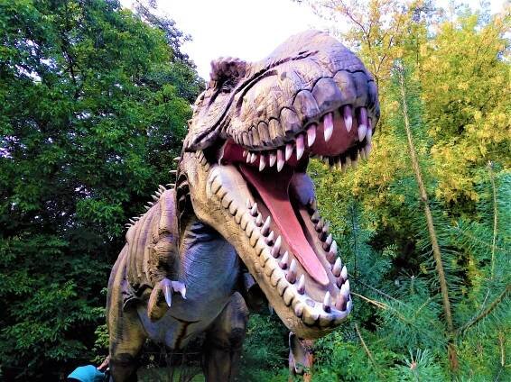 DinoPark & ZOO