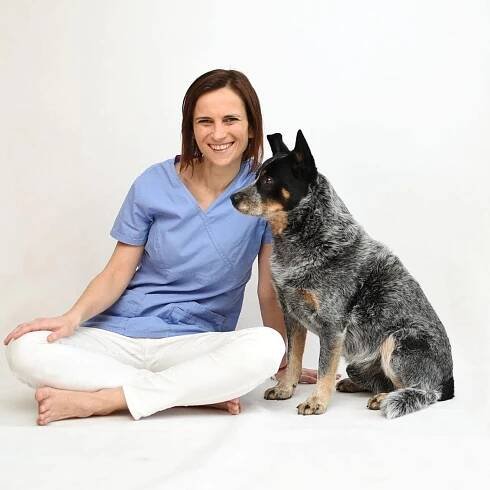 LBvet veterinární ordinace Liberec - MVDr. Petra Čejková