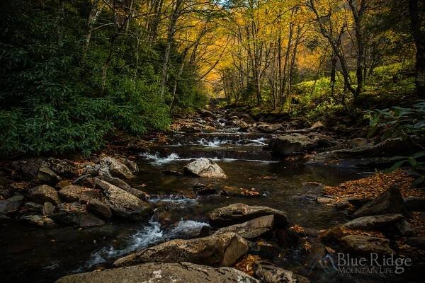 Fall Colors at Creek, Great Smoky Mountains National Park