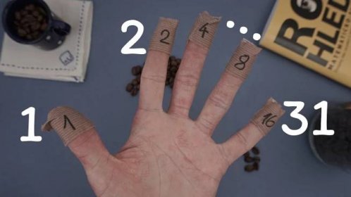 Jak počítat na prstech?