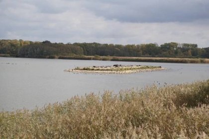 Podzimní půvab Bohdanečských rybníků