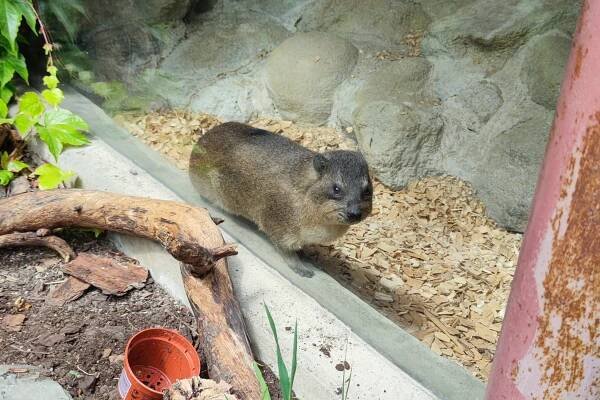 ZOO Olomouc - výlet k MDD