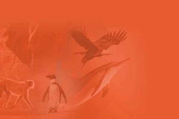Chris Jarvis: Uncaged | LeaderPass