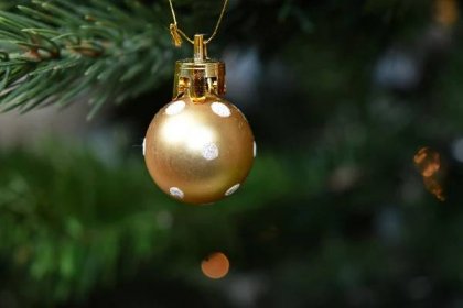 Bezplatný obrázek: vánoční, vánoční strom, zlatá záře, předsazení, ornament, koule, svátek, svítí, dekorace, strom