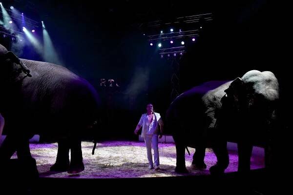 Cirkus Humberto potěšil v Hodoníně i děti z Dětského domova