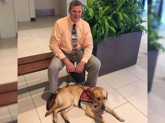 Veterans Moving Forward - Service Dogs Changing Veterans' Lives