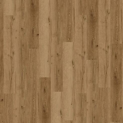 Velký vzorek Conceptline 30135 Dub Valencie