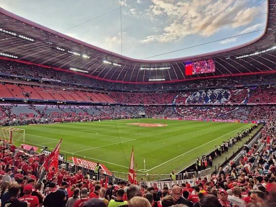 Höchstädter Schlosspanther e.V. – Offizieller Fanclub des FC Bayern München e.V.