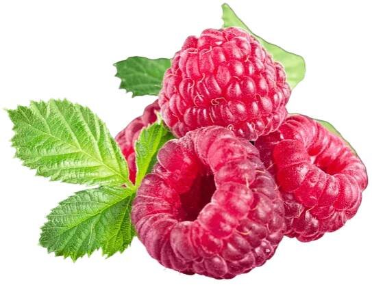 Raspberry