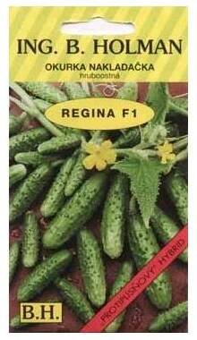 Okurky Holman Okurka nakládačka F1 Regina Holman ( hruboostná ) od 44 Kč - Heureka.cz