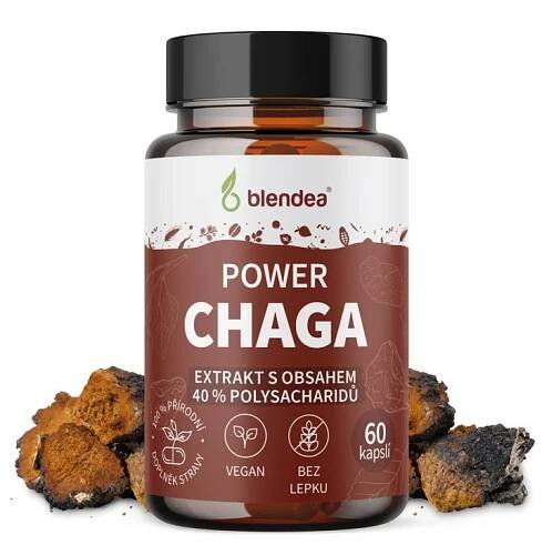 Chaga extrakt 60 kapslí