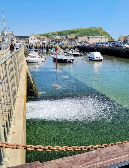 West_Bay_Harbour