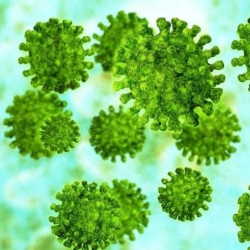 Nipah Virus Glycoprotein G, Human Fc-Tag