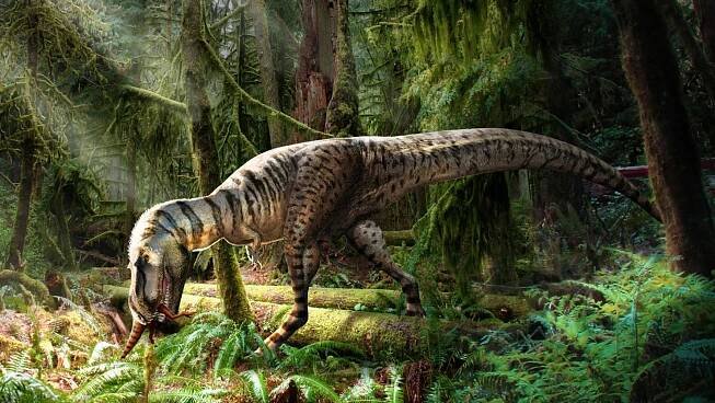 An illustration shows Gorgosaurus feeding on a smaller dinosaur in a Cretaceous forest scene.