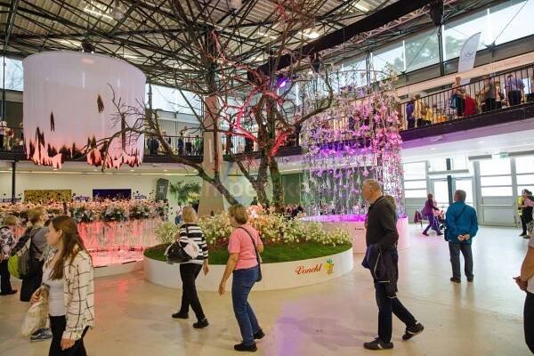 Flora Olomouc 2025 – pavilon A - Šumpersko.net