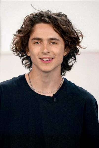 Timothèe Chalamet | Timothee chalamet, Short hair styles, Mens hairstyles