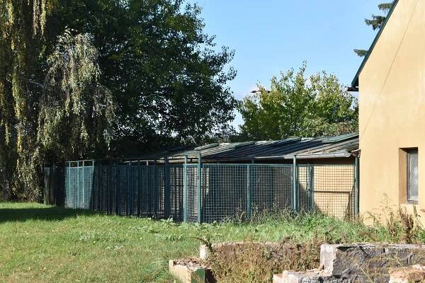 Útulek v Lysé nad Labem pomáhá zvířatům již 26 let. Rodina se stará s láskou