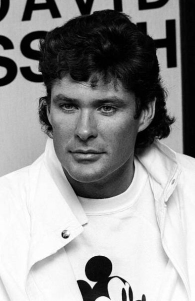 Herec David Hasselhoff v pověstném účesu