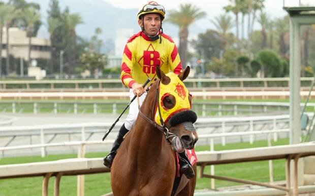 Lovacres homebred wins Maiden Special Weight at Santa Anita.