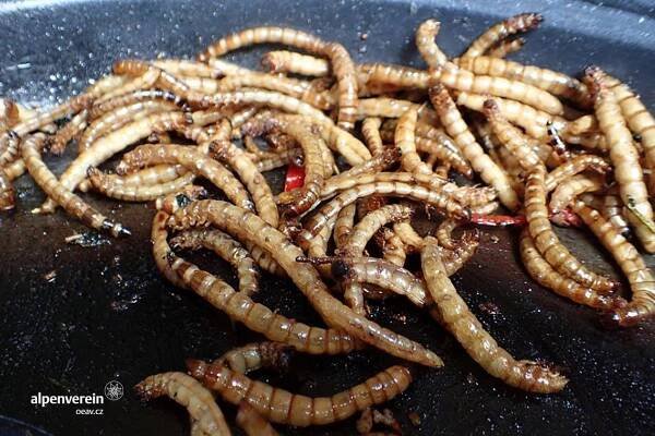 Extrem food festival 2019 | Alpenverein oeav.cz