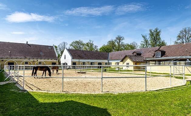 Pferdezentrum Stadl-Paura GmbH - ESSA - European State Studs Association e. V.
