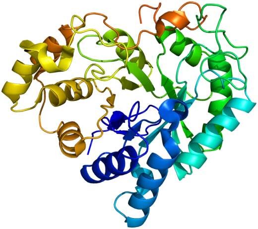 AKR1B10 - Wikipedia