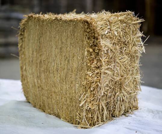 paille de blé nano