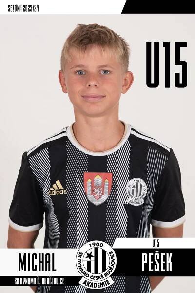 Pešek Michal
